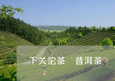 下关沱茶 普洱茶/2023031705148